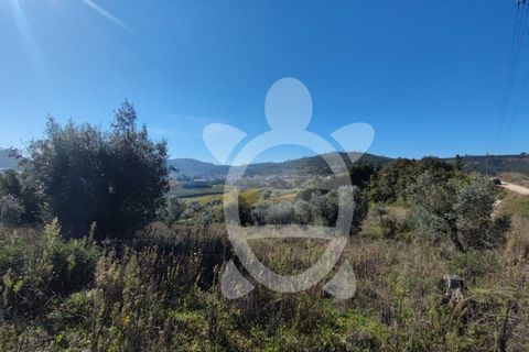 Helårsgrund i Coimbra, Coimbra, Coimbra - € 34.000 | Ref: 17-2163 - foto 5