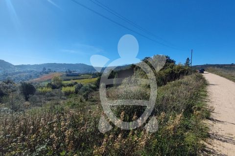 Helårsgrund i Coimbra, Coimbra, Coimbra - € 34.000 | Ref: 17-2163 - foto 7
