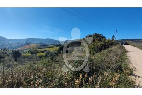 Helårsgrund i Coimbra, Coimbra, Coimbra - € 34.000 | Ref: 17-2163 - foto 9