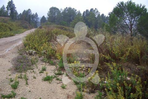 Helårsgrund i Assafarge e Antanhol, Coimbra, Assafarge e Antanhol - € 700.000 | Ref: 17-3533 - foto 2