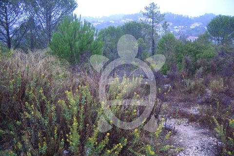 Helårsgrund i Assafarge e Antanhol, Coimbra, Assafarge e Antanhol - € 700.000 | Ref: 17-3533 - foto 3