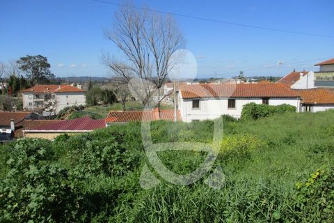 Helårsgrund i Condeixa-a-Nova, Coimbra, Condeixa-a-Nova - € 79.500 | Ref: 17-3613 - foto 2