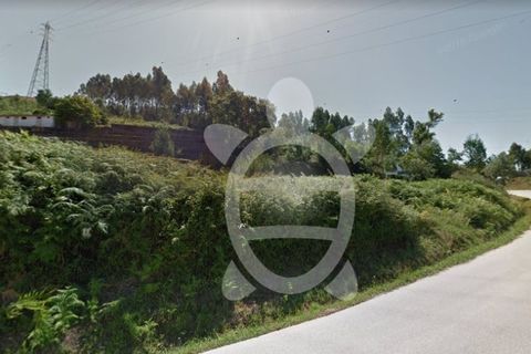 Terra a Ceira, Coimbra, Ceira - € 39.500 | Ref: 17-2168 - foto 6
