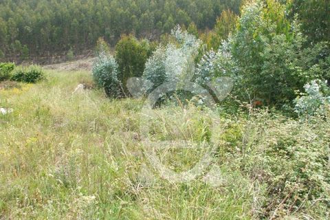 Helårsgrund i Coimbra, Coimbra, Coimbra - € 200.000 | Ref: 17-2187 - foto 3