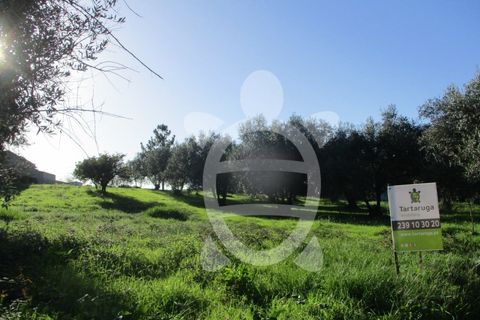Helårsgrund i Soure, Coimbra, Soure - € 34.500 | Ref: 17-2882 - foto 3