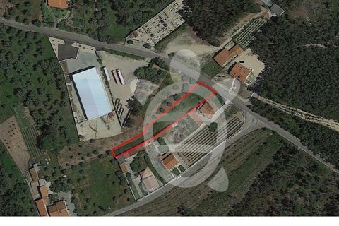 Helårsgrund i Soure, Coimbra, Soure - € 34.500 | Ref: 17-2882 - foto 1