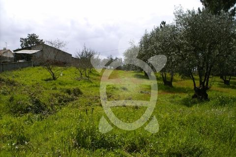 Helårsgrund i Soure, Coimbra, Soure - € 34.500 | Ref: 17-2882 - foto 4