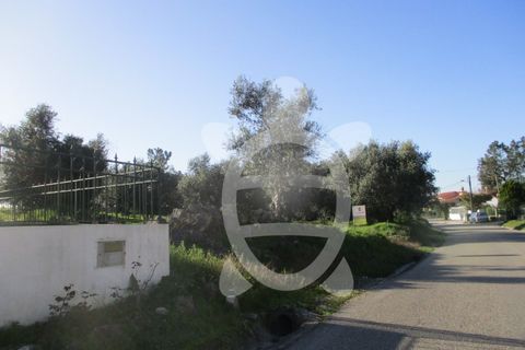 Helårsgrund i Soure, Coimbra, Soure - € 34.500 | Ref: 17-2882 - foto 2