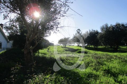 Helårsgrund i Soure, Coimbra, Soure - € 34.500 | Ref: 17-2882 - foto 5