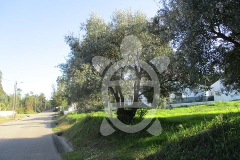 Helårsgrund i Soure, Coimbra, Soure - € 34.500 | Ref: 17-2882 - foto 7