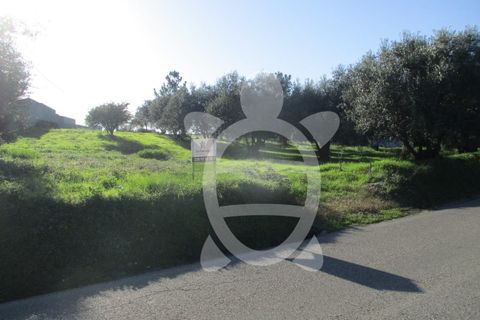Helårsgrund i Soure, Coimbra, Soure - € 34.500 | Ref: 17-2882 - foto 8