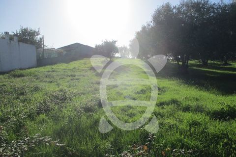 Helårsgrund i Soure, Coimbra, Soure - € 34.500 | Ref: 17-2882 - foto 9