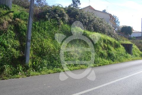 Helårsgrund i Assafarge e Antanhol, Coimbra, Assafarge e Antanhol - € 52.000 | Ref: 17-3659 - foto 3