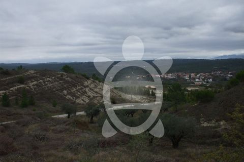 Helårsgrund i Condeixa-a-Nova, Coimbra, Condeixa-a-Nova - € 24.000 | Ref: 17-2599 - foto 5