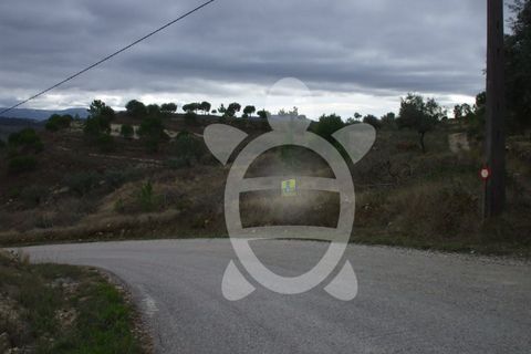 Helårsgrund i Condeixa-a-Nova, Coimbra, Condeixa-a-Nova - € 24.000 | Ref: 17-2599 - foto 6