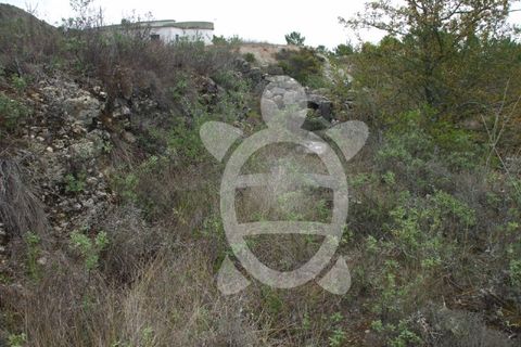 Helårsgrund i Condeixa-a-Nova, Coimbra, Condeixa-a-Nova - € 24.000 | Ref: 17-2599 - foto 7