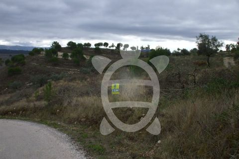 Helårsgrund i Condeixa-a-Nova, Coimbra, Condeixa-a-Nova - € 24.000 | Ref: 17-2599 - foto 8