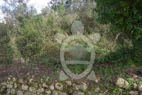 Helårsgrund i Assafarge e Antanhol, Coimbra, Assafarge e Antanhol - € 56.500 | Ref: 17-2840 - foto 5