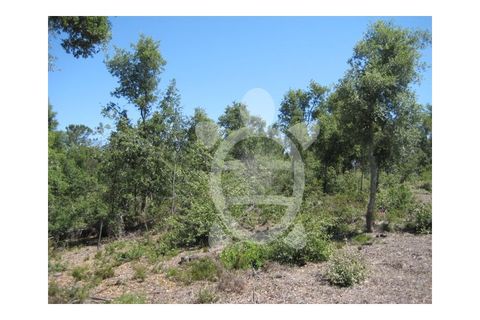 Helårsgrund i Assafarge e Antanhol, Coimbra, Assafarge e Antanhol - € 95.000 | Ref: 17-3177 - foto 3