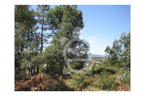 Helårsgrund i Assafarge e Antanhol, Coimbra, Assafarge e Antanhol - € 95.000 | Ref: 17-3177 - foto 5