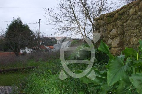 Helårsgrund i Coimbra, Coimbra, Coimbra - € 40.000 | Ref: 17-2712 - foto 2