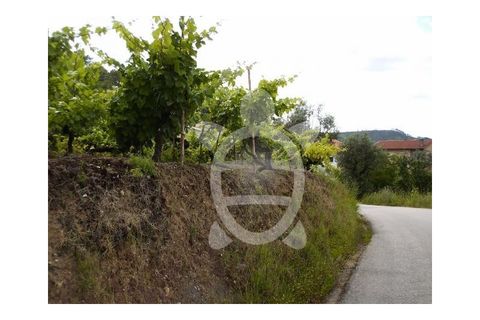 Helårsgrund i Coimbra, Coimbra, Coimbra - € 44.500 | Ref: 17-352 - foto 5