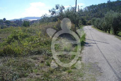 Helårsgrund i Coimbra, Coimbra, Coimbra - € 139.500 | Ref: 17-3420 - foto 2