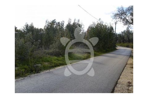 Terra a Condeixa-a-Nova, Coimbra, Condeixa-a-Nova - € 104.500 | Ref: 17-1779 - foto 4