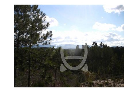 Terra a Condeixa-a-Nova, Coimbra, Condeixa-a-Nova - € 104.500 | Ref: 17-1779 - foto 6