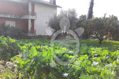 Helårsgrund i Assafarge e Antanhol, Coimbra, Assafarge e Antanhol - € 60.000 | Ref: 17-1096 - foto 6