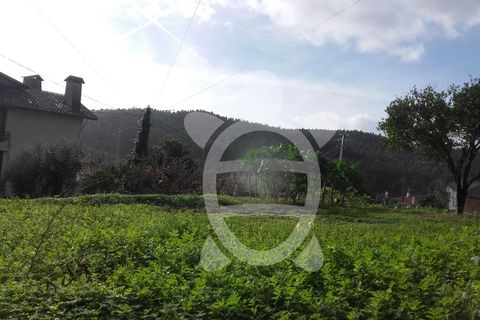 Helårsgrund i Assafarge e Antanhol, Coimbra, Assafarge e Antanhol - € 60.000 | Ref: 17-1096 - foto 8