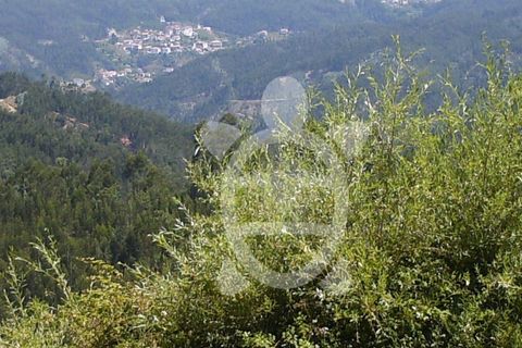 Helårsgrund i Coimbra, Coimbra, Coimbra - € 29.500 | Ref: 17-3854 - foto 7