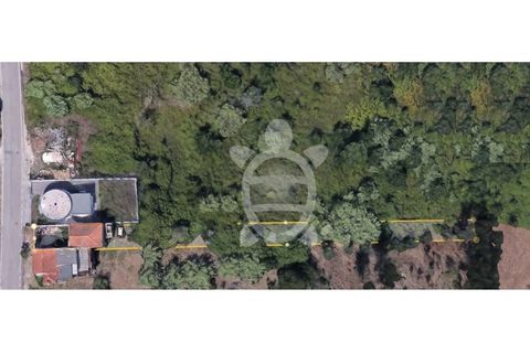 Helårsgrund i Coimbra, Coimbra, Coimbra - € 29.500 | Ref: 17-3854 - foto 8