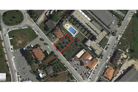 Tomt i Condeixa-a-Nova, Coimbra, Condeixa-a-Nova - € 67 500 | Ref: 17-3120 - foto 2