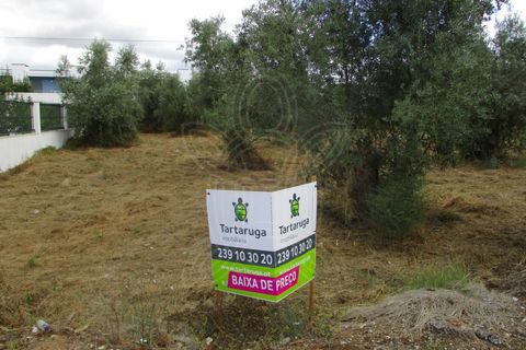 Tomt i Condeixa-a-Nova, Coimbra, Condeixa-a-Nova - € 67 500 | Ref: 17-3120 - foto 3