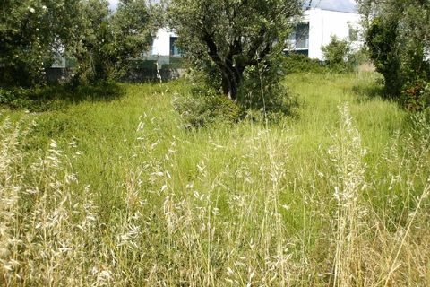Tomt i Condeixa-a-Nova, Coimbra, Condeixa-a-Nova - € 67 500 | Ref: 17-3120 - foto 5