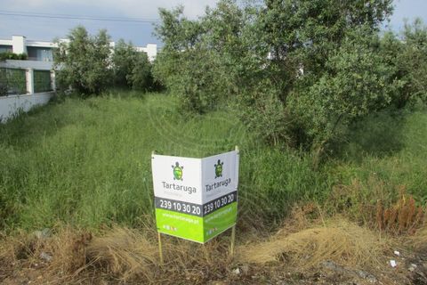 Tomt i Condeixa-a-Nova, Coimbra, Condeixa-a-Nova - € 67 500 | Ref: 17-3120 - foto 6