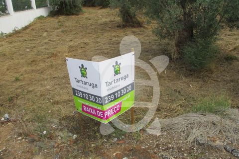 Tomt i Condeixa-a-Nova, Coimbra, Condeixa-a-Nova - € 67 500 | Ref: 17-3120 - foto 7
