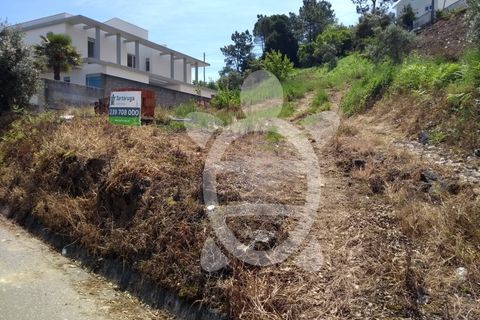 Helårsgrund i Coimbra, Coimbra, Coimbra - € 89.500 | Ref: 17-659 - foto 4