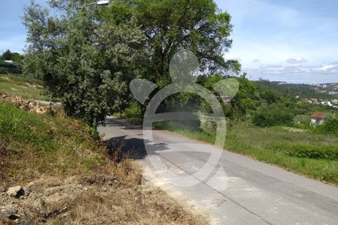 Helårsgrund i Coimbra, Coimbra, Coimbra - € 89.500 | Ref: 17-659 - foto 5