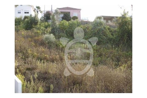 Helårsgrund i Coimbra, Coimbra, Coimbra - € 89.500 | Ref: 17-659 - foto 7