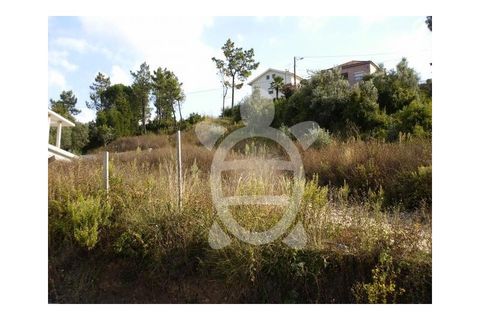 Helårsgrund i Coimbra, Coimbra, Coimbra - € 89.500 | Ref: 17-659 - foto 8