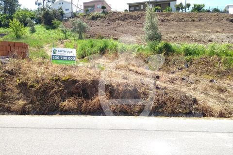 Helårsgrund i Coimbra, Coimbra, Coimbra - € 89.500 | Ref: 17-659 - foto 10