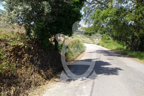 Helårsgrund i Coimbra, Coimbra, Coimbra - € 89.500 | Ref: 17-659 - foto 11