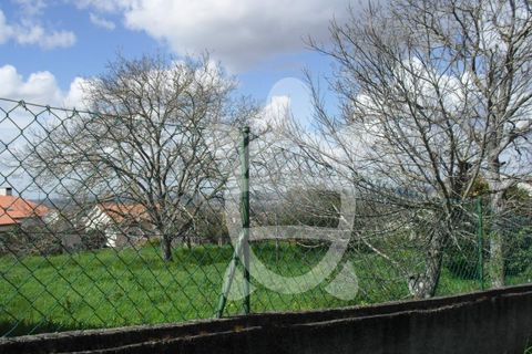 Helårsgrund i Coimbra, Coimbra, Coimbra - € 79.500 | Ref: 17-3710 - foto 5