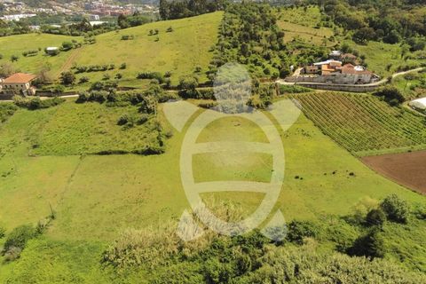 Helårsgrund i Coimbra, Coimbra, Coimbra - € 110.000 | Ref: 17-2925 - foto 9