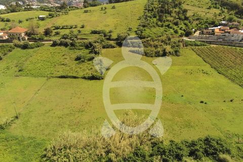Helårsgrund i Coimbra, Coimbra, Coimbra - € 110.000 | Ref: 17-2925 - foto 13