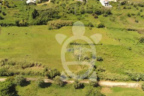 Helårsgrund i Coimbra, Coimbra, Coimbra - € 110.000 | Ref: 17-2925 - foto 15