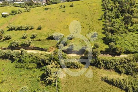 Helårsgrund i Coimbra, Coimbra, Coimbra - € 110.000 | Ref: 17-2925 - foto 16