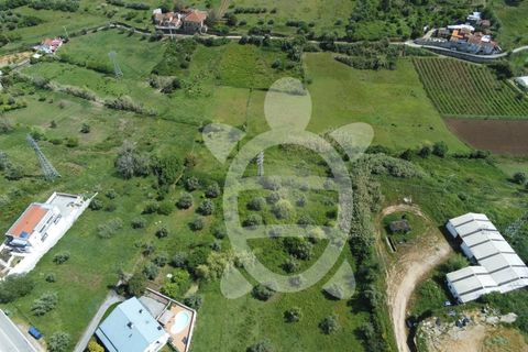 Helårsgrund i Coimbra, Coimbra, Coimbra - € 110.000 | Ref: 17-2925 - foto 24